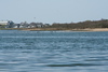 christine coons > Bluff Point , Groton - April 25, 2008 >  IMG_1785