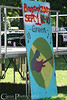 christine coons > 01 The Bands >  200709010009