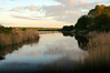 christine coons > Bluff Point, Groton - May 24, 2006 >  200605240013