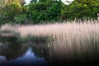 christine coons > Bluff Point, Groton - May 24, 2006 >  200605240017
