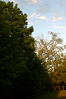 christine coons > Bluff Point, Groton - May 24, 2006 >  200605240001