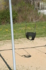 christine coons > Bluff Point , Groton - April 25, 2008 >  IMG_1766